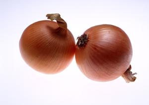 初心者におすすめのホストクラブを紹介